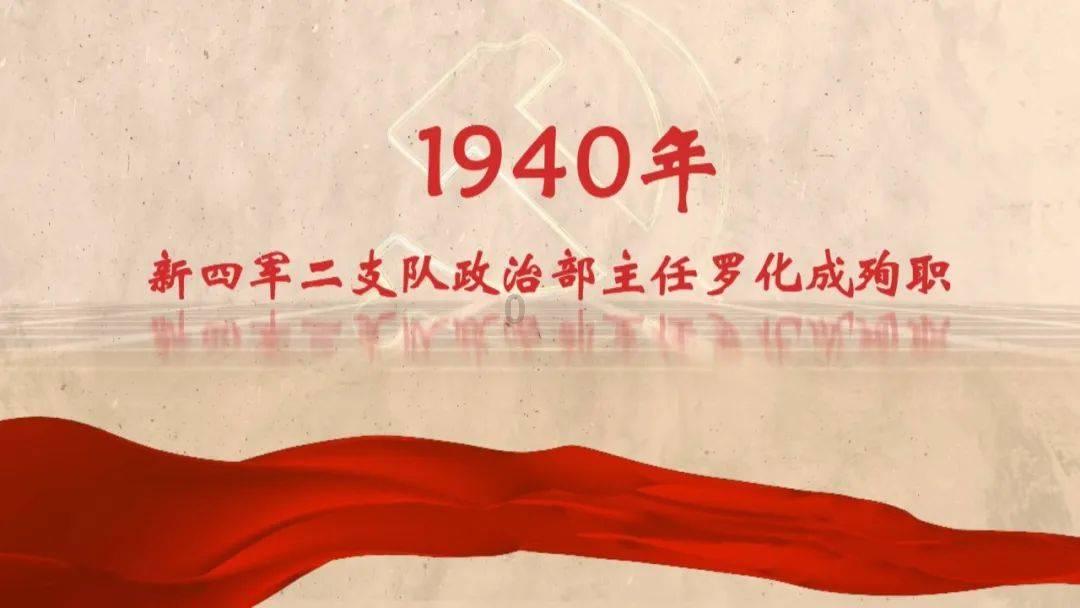 袋鼠兄弟2
